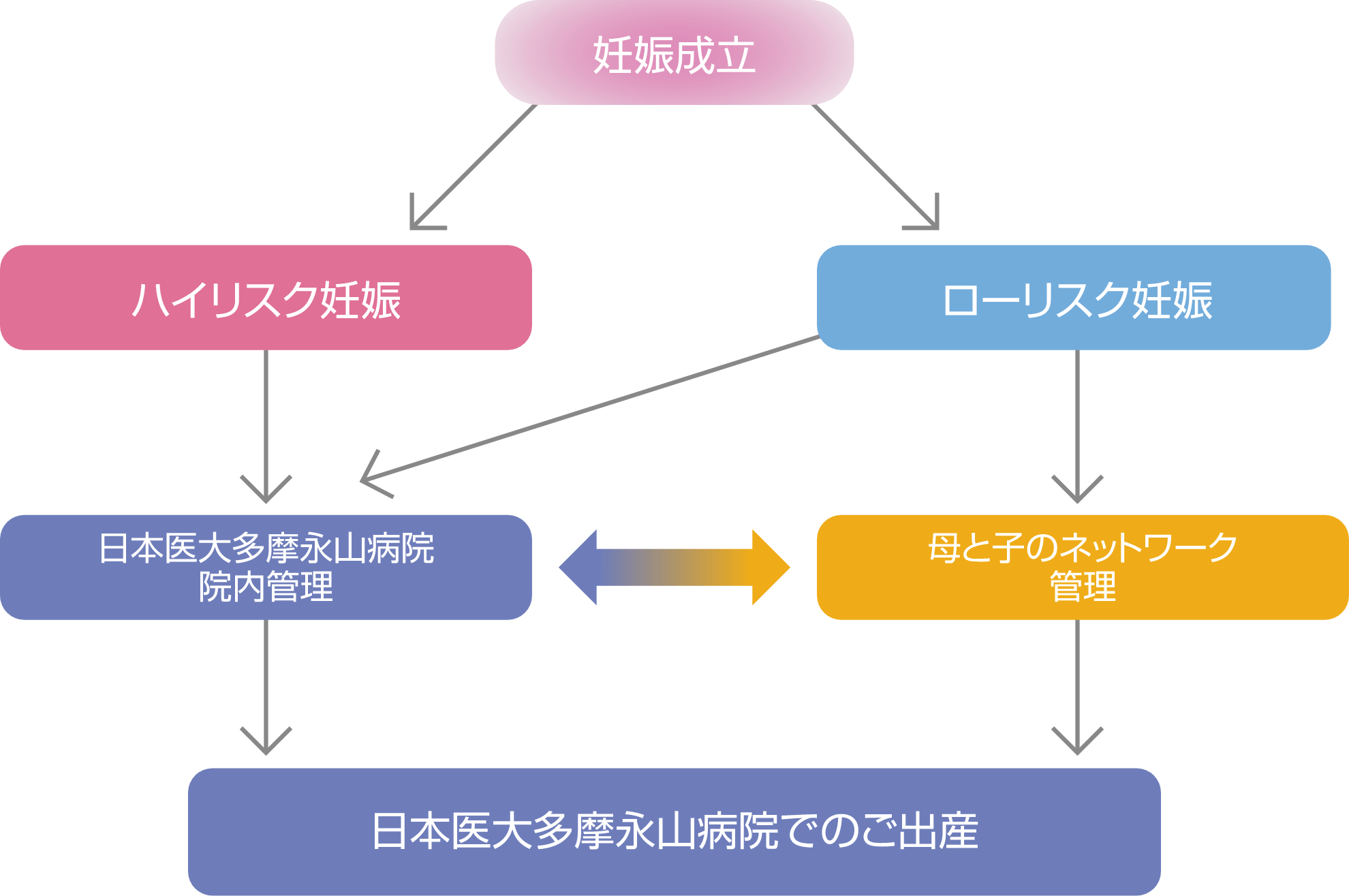 母と子のネットワーク図